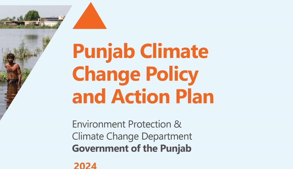 Punjab Local Government ACT 